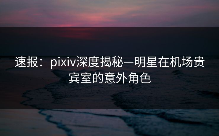 速报：pixiv深度揭秘—明星在机场贵宾室的意外角色
