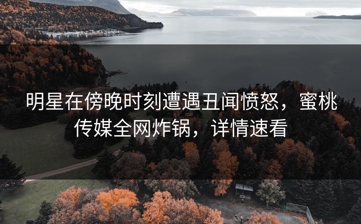 明星在傍晚时刻遭遇丑闻愤怒，蜜桃传媒全网炸锅，详情速看