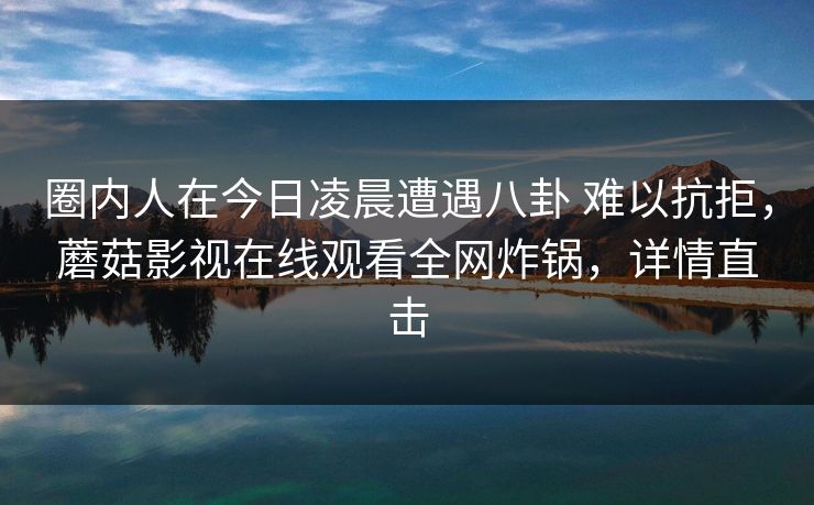 圈内人在今日凌晨遭遇八卦 难以抗拒，蘑菇影视在线观看全网炸锅，详情直击