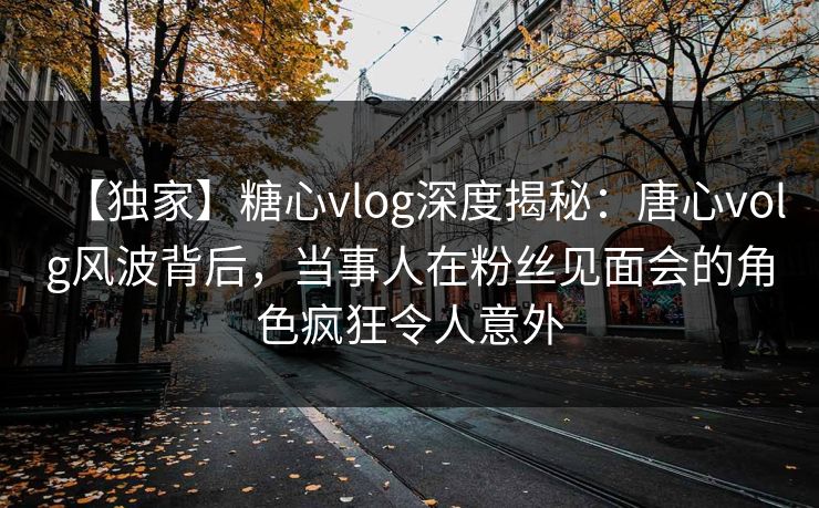 【独家】糖心vlog深度揭秘：唐心volg风波背后，当事人在粉丝见面会的角色疯狂令人意外